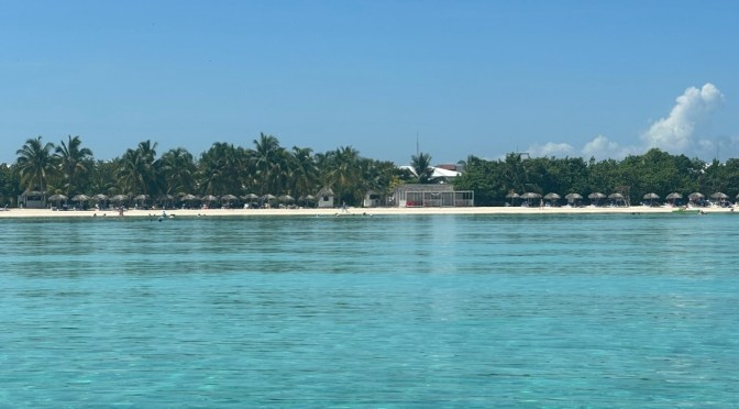 Bravery, empathy and humour