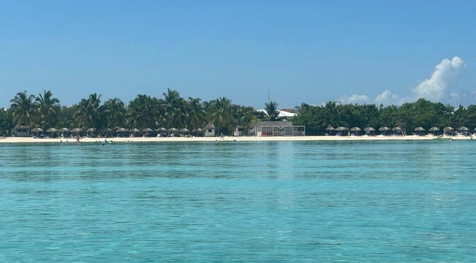 Top 5 Physical Activities or Exercises