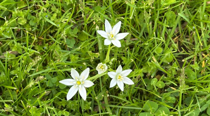 10 Thoughts During the 10K Run