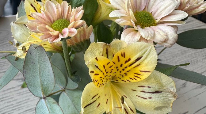 First day as a Fiancé