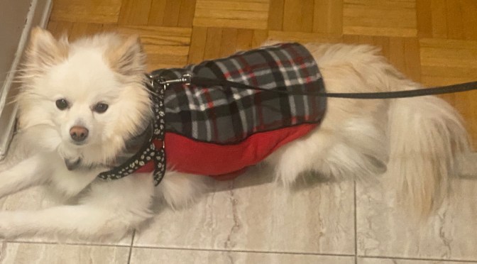 Walking and Swimming